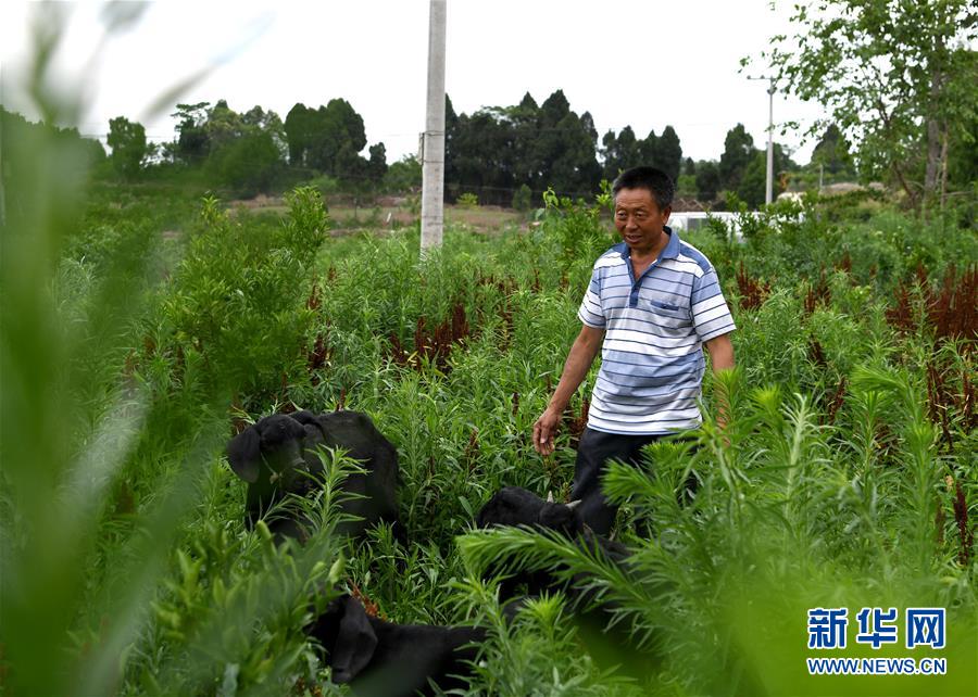 (走向我們的小康生活·圖文互動)(3)擺擺幸福鄉村的新鮮事兒
