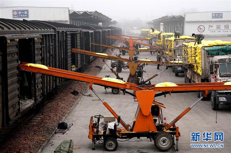 (在習近平新時代中國特色社會主義思想指引下——新時代新作為新篇章·習近平總書記關切事·圖文互動)(5)食為政首——穩住農業基本盤增添發展底氣