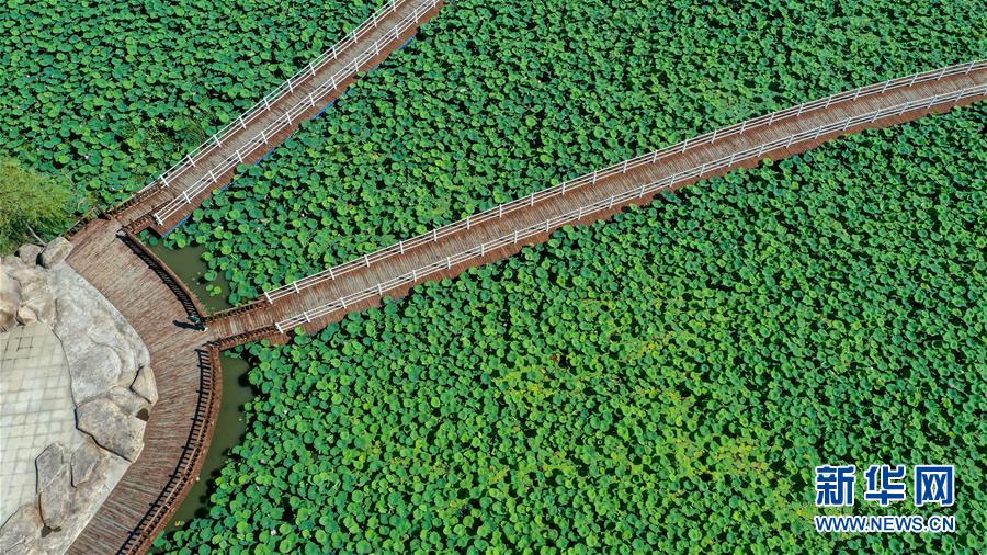 （在習近平新時代中國特色社會主義思想指引下——新時代新作為新篇章·習近平總書記關切事·圖文互動）（9）綠色映底蘊，山水見初心——生態優先、綠色發展持續造福群眾美好生活