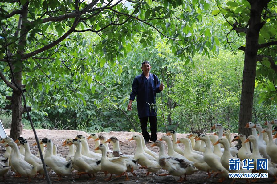 (新華全媒頭條·圖文互動(dòng))(8)穩(wěn)中求進(jìn) 奮勇前進(jìn)——從中央政治局會(huì)議看中國(guó)經(jīng)濟(jì)走勢(shì)