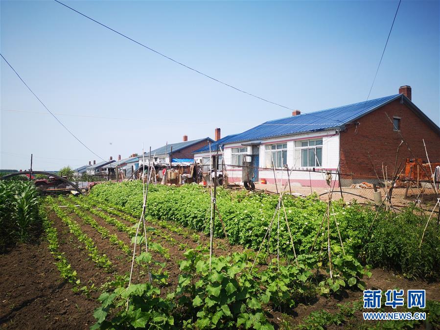 (決戰(zhàn)決勝脫貧攻堅(jiān)·圖文互動(dòng))(2)“水通”“路通”促“心通”——黑龍江脫貧攻堅(jiān)一線見聞