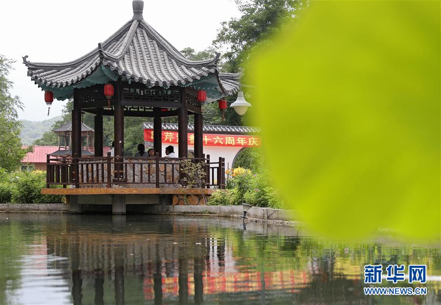 (走向我們的小康生活·圖文互動)(3)從“遼寧藍”到“花果山”——遼寧推進生態文明建設剪影