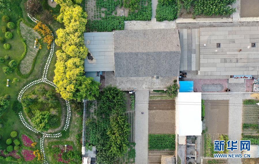 (新華全媒頭條·走向我們的小康生活·圖文互動)(1)“南大荒”變“稻蟹鄉”——資源枯竭型城市盤錦的鄉村振興之路