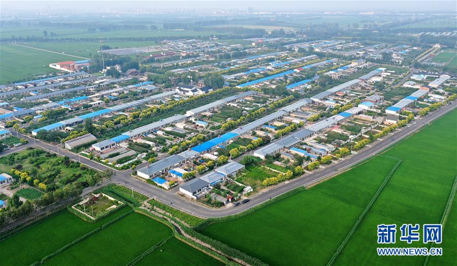 (新華全媒頭條·走向我們的小康生活·圖文互動)(4)“南大荒”變“稻蟹鄉”——資源枯竭型城市盤錦的鄉村振興之路