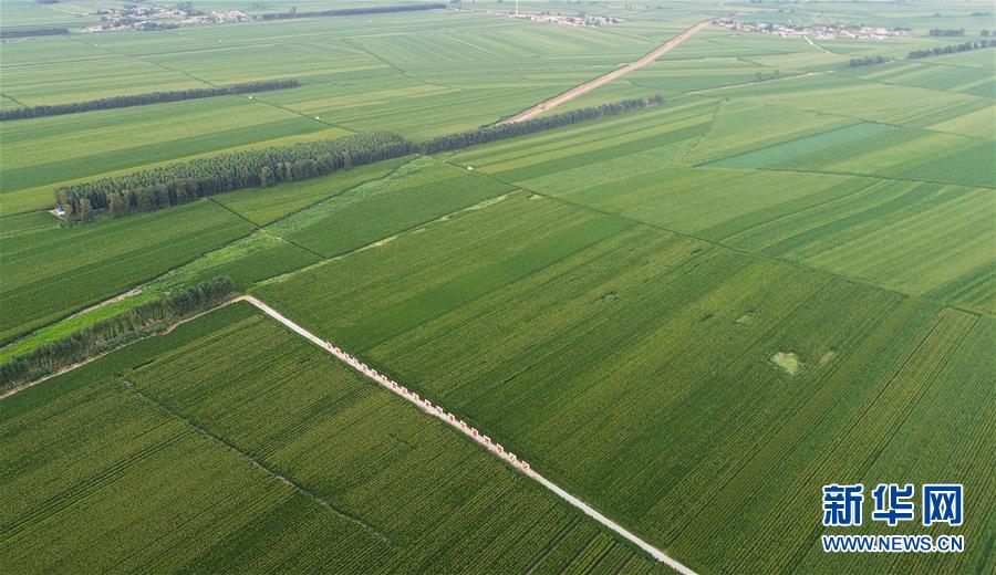 （在習(xí)近平新時(shí)代中國(guó)特色社會(huì)主義思想指引下&mdash;&mdash;新時(shí)代新作為新篇章&middot;習(xí)近平總書(shū)記關(guān)切事&middot;圖文互動(dòng)）（2）為黑土加&ldquo;油&rdquo;&mdash;&mdash;&ldquo;耕地中的大熊貓&rdquo;，我們這樣保護(hù)