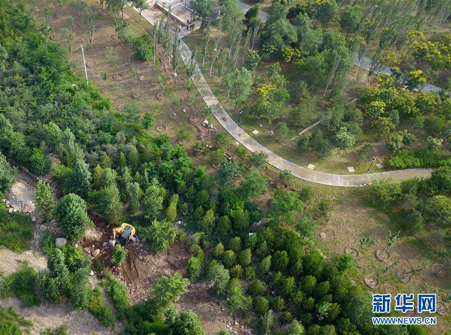 （新華全媒頭條·圖文互動）（15）扎實(shí)推進(jìn)籌辦，不負(fù)青春韶華——北京冬奧會籌辦備戰(zhàn)克服疫情影響平穩(wěn)推進(jìn)