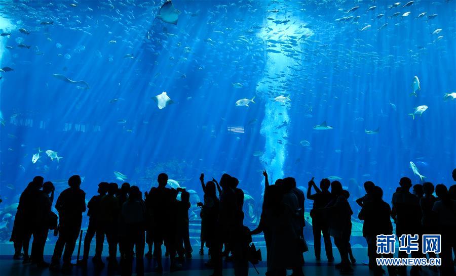 (在習(xí)近平新時代中國特色社會主義思想指引下——新時代新作為新篇章·習(xí)近平總書記關(guān)切事·圖文互動)(9)感受開放新魅力——海南自由貿(mào)易港建設(shè)開局觀察