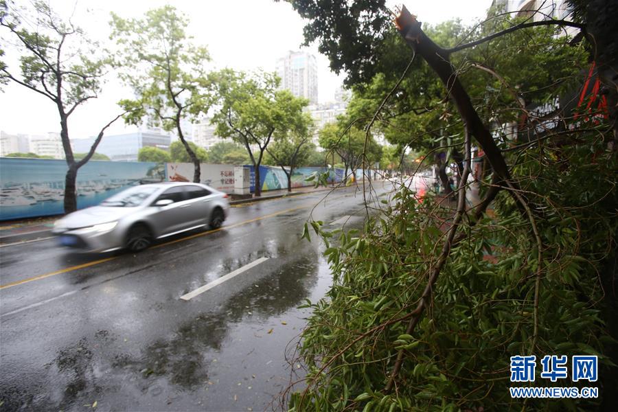 #(環境)(10)臺風“米克拉”登陸福建