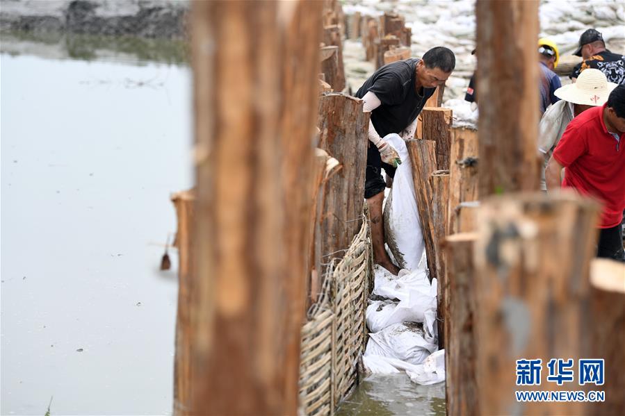 (新華全媒頭條·圖文互動)(10)立皖安瀾——安徽決戰一江一河一湖抗洪紀實
