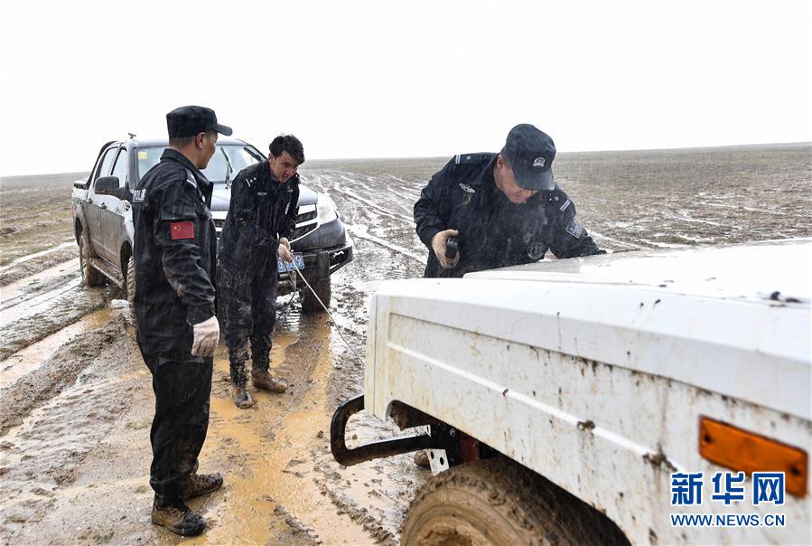 (圖文互動)(4)記者手記:可可西里,“挪”向“藏羚羊大產房”的14個半小時