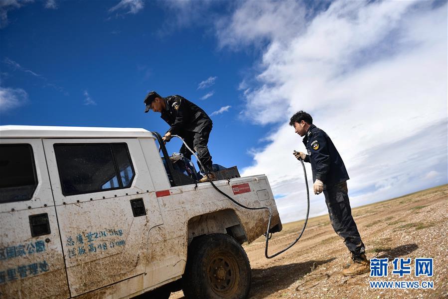 (圖文互動)(6)記者手記:可可西里,“挪”向“藏羚羊大產房”的14個半小時