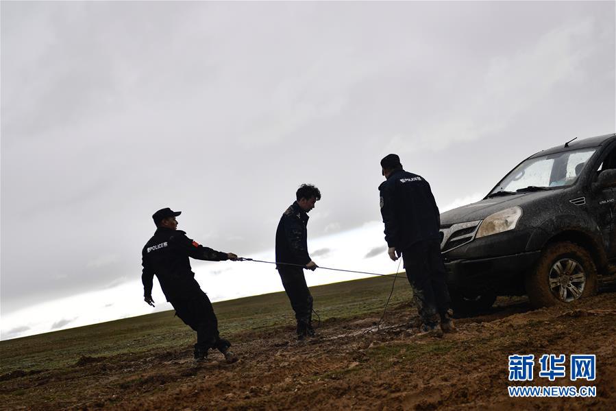 (圖文互動)(10)記者手記:可可西里,“挪”向“藏羚羊大產房”的14個半小時