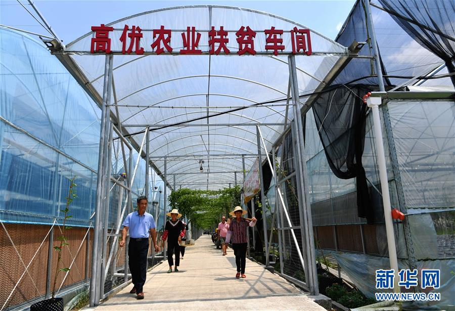 (走向我們的小康生活·圖文互動(dòng))(3)“紅土地”越來(lái)越紅火——福建老區(qū)蘇區(qū)發(fā)展新貌掠影