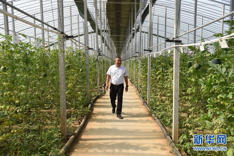 (新華全媒頭條·走向我們的小康生活·圖文互動)(11)幸福小康入畫來——齊魯大地描繪小康新畫卷