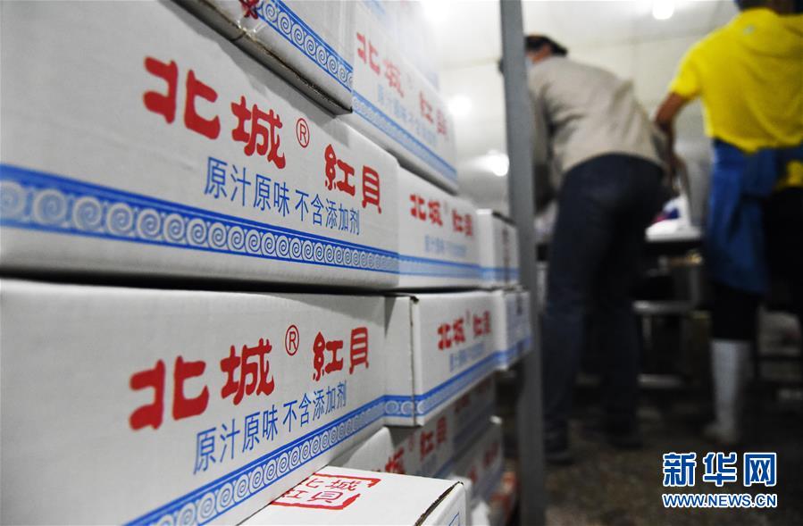 (走向我們的小康生活·圖文互動)(2)長島漁民的扇貝喜事:從請客求人買到供不應求