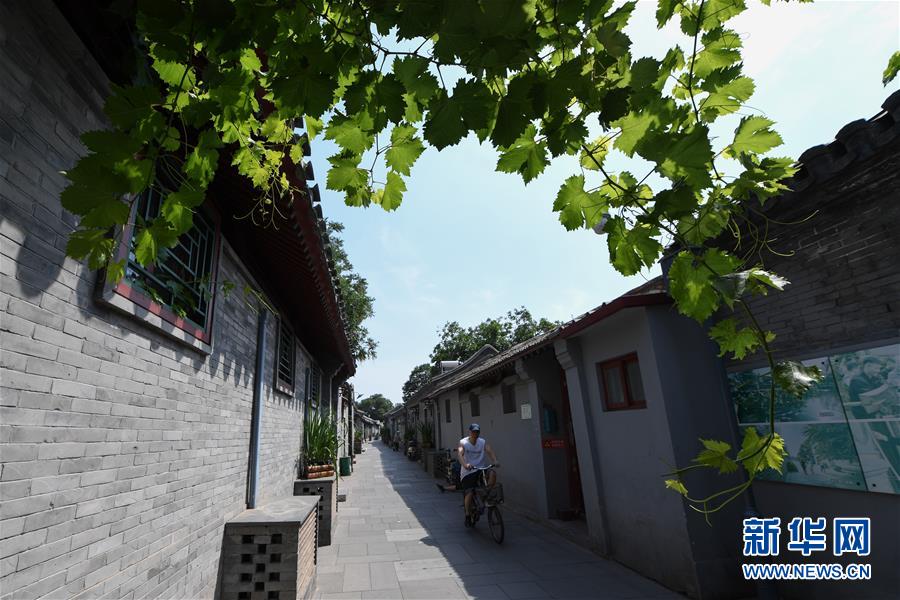 (走向我們的小康生活·圖文互動(dòng))(1)小橋、流水、書香、人家——老北京胡同里的恬靜棲居