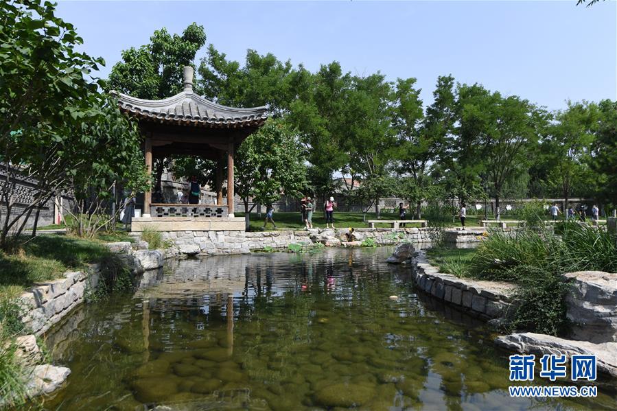 (走向我們的小康生活·圖文互動(dòng))(3)小橋、流水、書香、人家——老北京胡同里的恬靜棲居