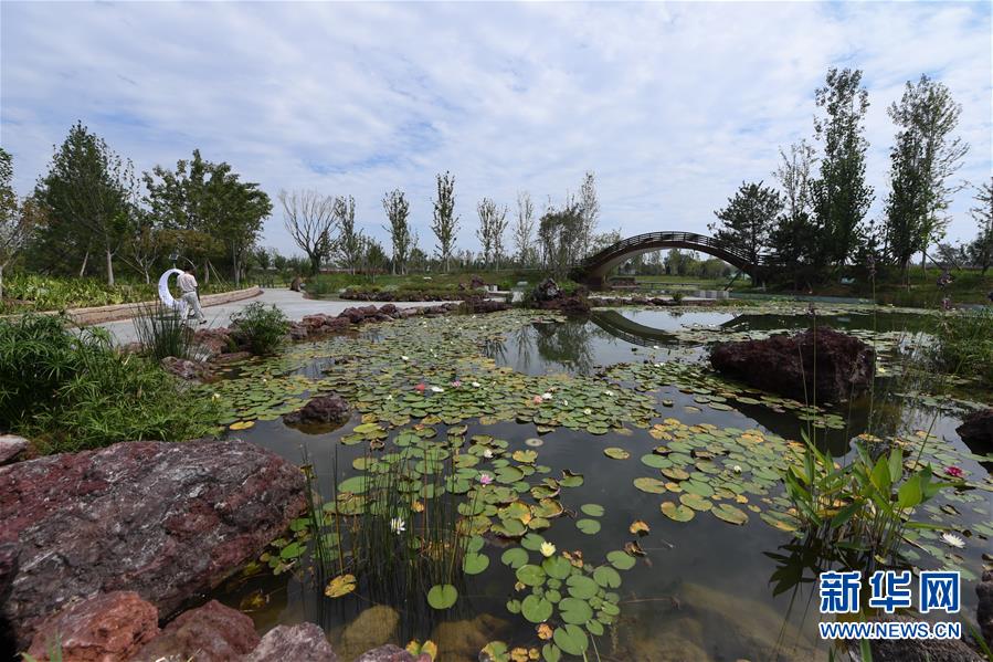 (新華全媒頭條·走向我們的小康生活·圖文互動)(1)“繡”出古都新生活——城市精細化治理的北京探索