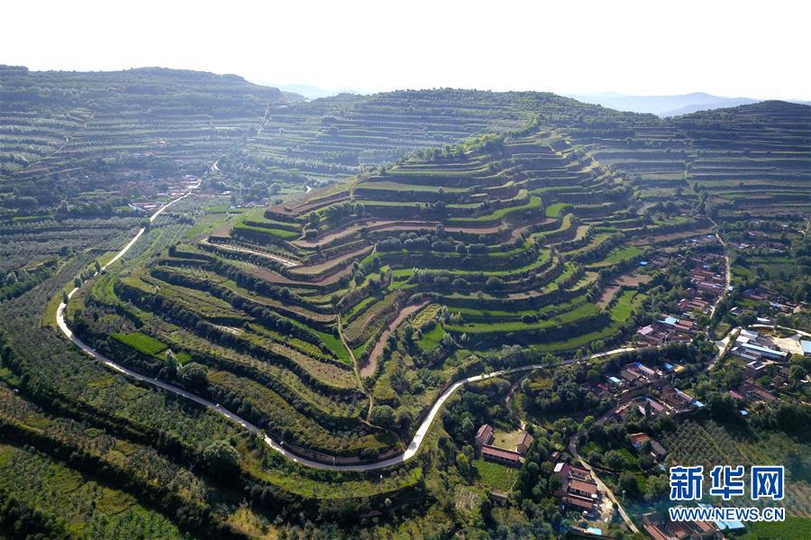 (走向我們的小康生活·圖文互動)(1)在那碧綠的階梯上——“梯田之鄉(xiāng)”甘肅莊浪縣的“三級跳”
