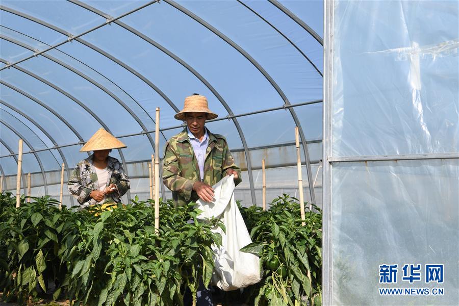 (走向我們的小康生活·圖文互動)(1)“荒涼”土地掘金記——甘肅旱作農(nóng)業(yè)發(fā)展“變奏曲”