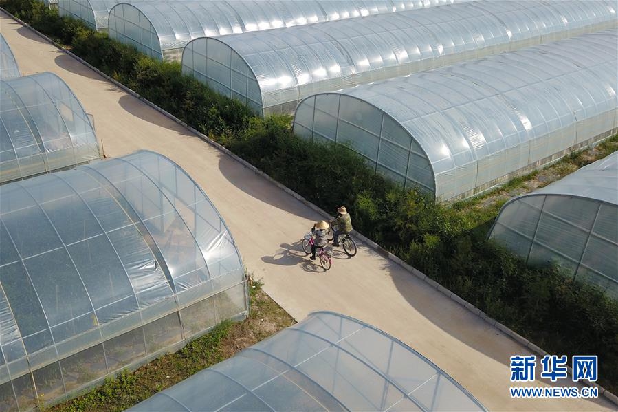 (走向我們的小康生活·圖文互動)(3)“荒涼”土地掘金記——甘肅旱作農(nóng)業(yè)發(fā)展“變奏曲”