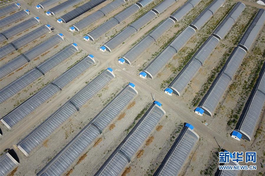 (走向我們的小康生活·圖文互動)(4)“荒涼”土地掘金記——甘肅旱作農(nóng)業(yè)發(fā)展“變奏曲”