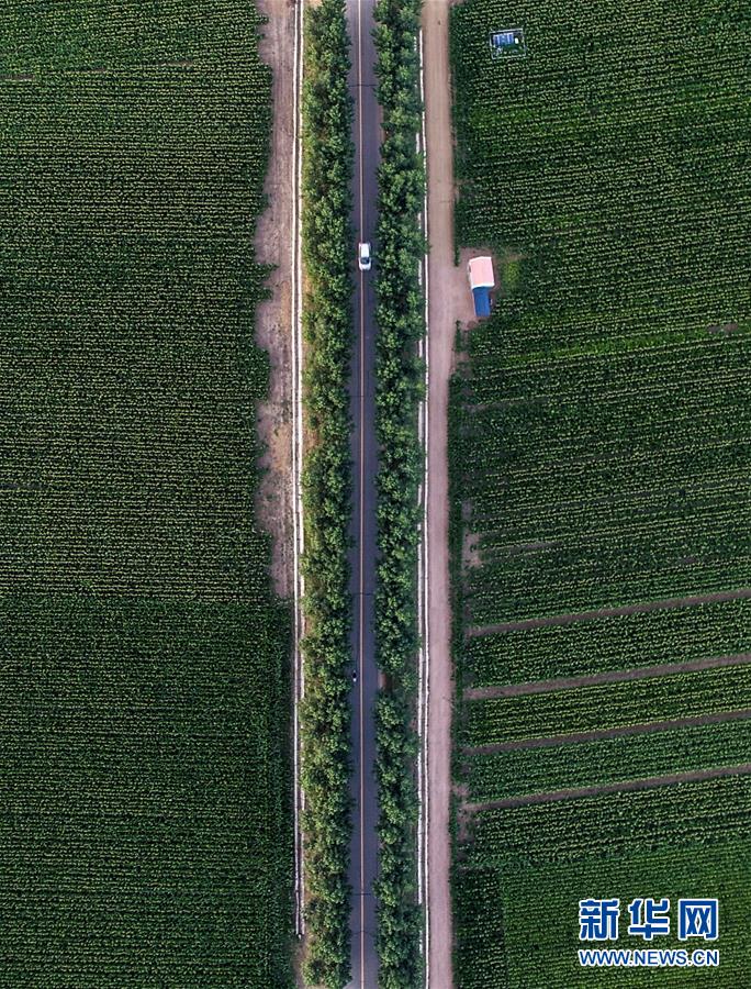 (新華全媒頭條·圖文互動)(3)為現(xiàn)代農(nóng)業(yè)探新路——來自吉林梨樹的田野報告
