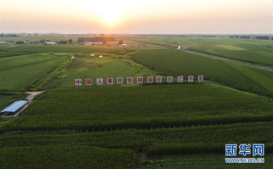 (新華全媒頭條·圖文互動)(6)為現(xiàn)代農(nóng)業(yè)探新路——來自吉林梨樹的田野報告