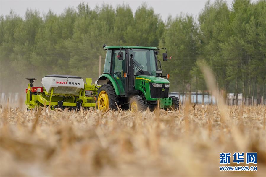 (新華全媒頭條·圖文互動)(10)為現(xiàn)代農(nóng)業(yè)探新路——來自吉林梨樹的田野報告