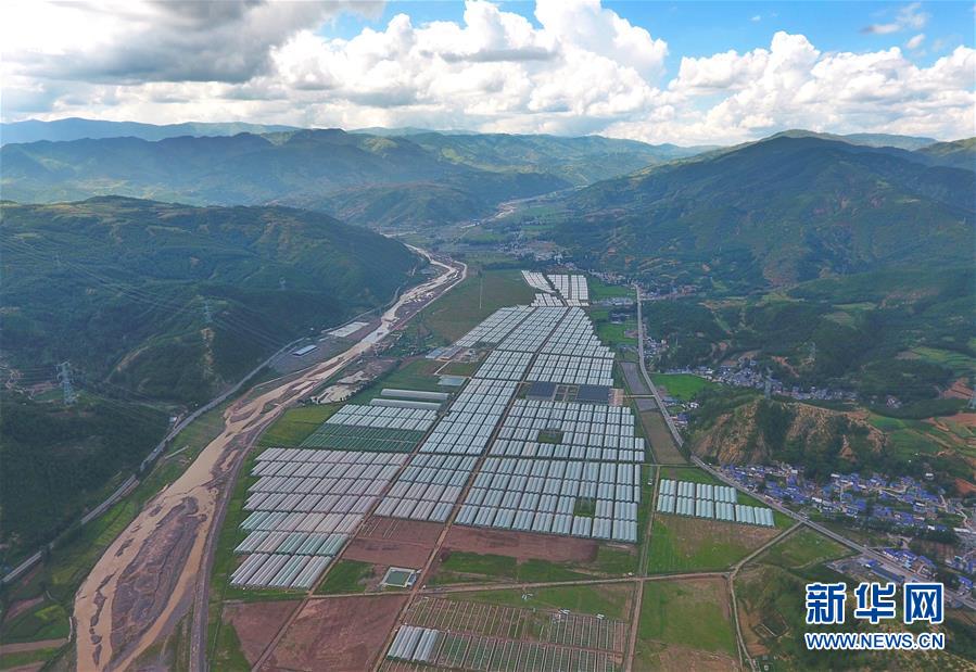 (新華全媒頭條·決戰決勝脫貧攻堅·督戰未摘帽貧困縣·圖文互動)(10)苦蕎花開大涼山——四川7個未摘帽縣脫貧攻堅一線觀察