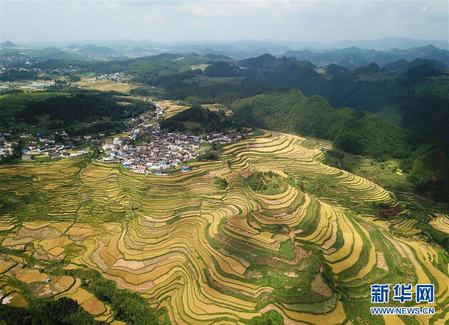 (決戰決勝脫貧攻堅·圖文互動)(3)一個小鎮“撬動”整縣脫貧——社會扶貧的貴州丹寨樣板