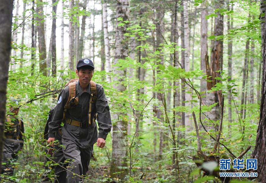 (圖文互動)(1)長白山60年書寫“生態答卷”