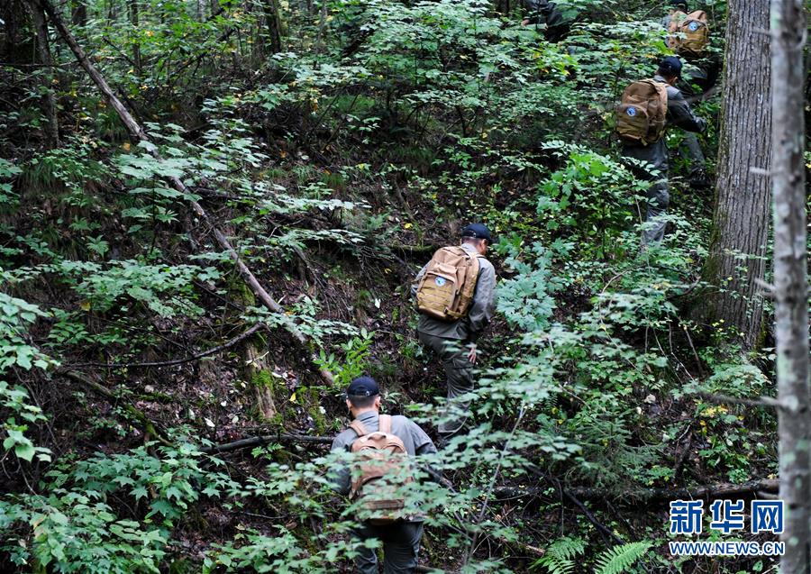 (圖文互動)(2)長白山60年書寫“生態答卷”