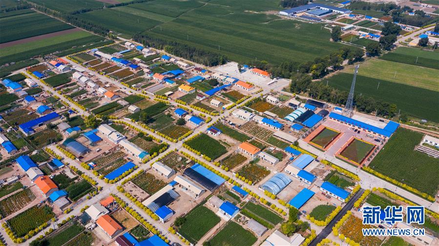 （新華全媒頭條&middot;走向我們的小康生活&middot;圖文互動(dòng)）（1）黑土地上是我家&mdash;&mdash;在吉林，一瞥中國東北鄉(xiāng)村美麗未來