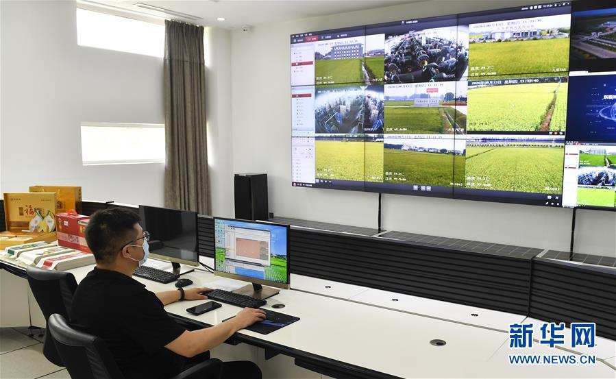 （新華全媒頭條&middot;走向我們的小康生活&middot;圖文互動(dòng)）（4）黑土地上是我家&mdash;&mdash;在吉林，一瞥中國東北鄉(xiāng)村美麗未來