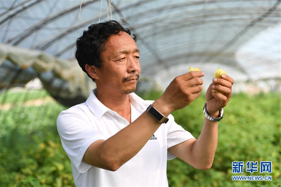 （新華全媒頭條&middot;走向我們的小康生活&middot;圖文互動(dòng)）（7）黑土地上是我家&mdash;&mdash;在吉林，一瞥中國東北鄉(xiāng)村美麗未來