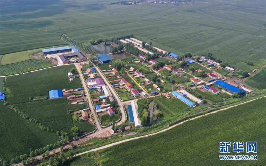（新華全媒頭條&middot;走向我們的小康生活&middot;圖文互動(dòng)）（12）黑土地上是我家&mdash;&mdash;在吉林，一瞥中國東北鄉(xiāng)村美麗未來
