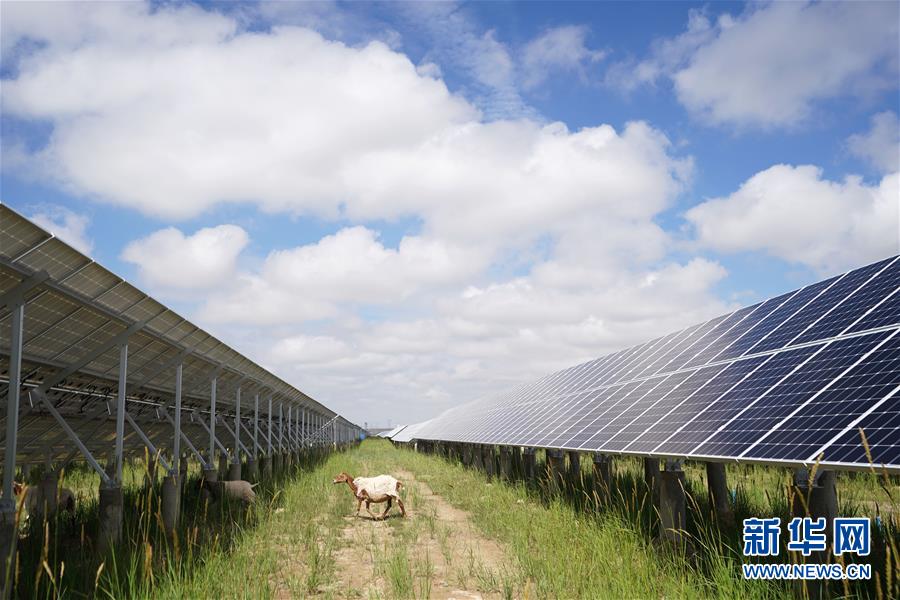 (新華全媒頭條·走向我們的小康生活·決戰決勝脫貧攻堅·圖文互動)(2)高原上綻放的光芒——來自青海攻克深度貧困堡壘的故事