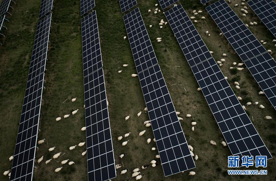 (新華全媒頭條·走向我們的小康生活·決戰決勝脫貧攻堅·圖文互動)(3)高原上綻放的光芒——來自青海攻克深度貧困堡壘的故事