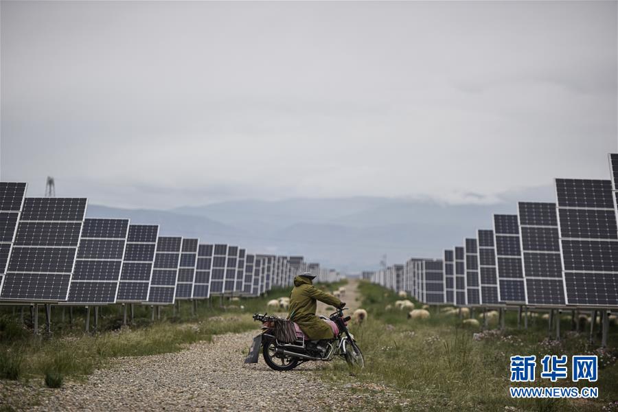 (新華全媒頭條·走向我們的小康生活·決戰決勝脫貧攻堅·圖文互動)(4)高原上綻放的光芒——來自青海攻克深度貧困堡壘的故事