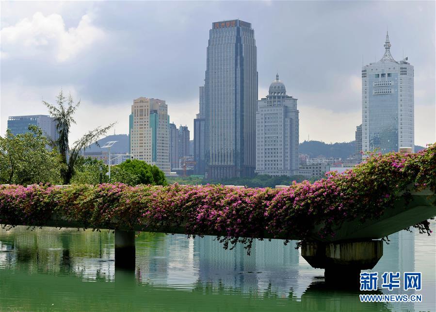 （特區40年?圖文互動）（7）廈庇五洲客 門納萬頃濤——廈門經濟特區40年發展紀實