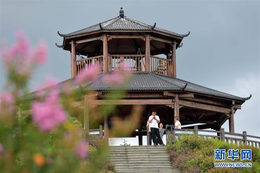 （走向我們的小康生活·圖文互動）（4）從廢棄礦山到生態“福地”——江西尋烏戰荒記 