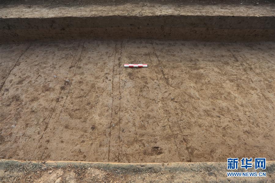 (圖文互動(dòng))(2)漢魏洛陽城東西向大道重現(xiàn)天日 見證500多年間王朝更迭