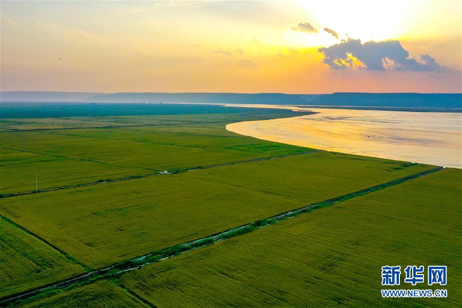 (新華全媒頭條·圖文互動)(4)天道酬勤的大地贊歌——寫在第三個中國農(nóng)民豐收節(jié)之際