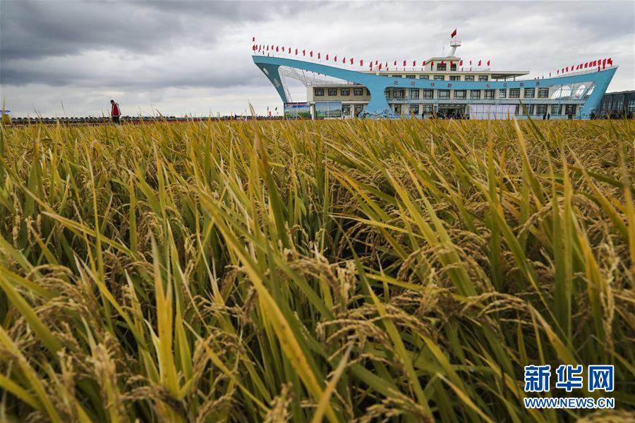 (新華全媒頭條·圖文互動)(1)天道酬勤的大地贊歌——寫在第三個中國農(nóng)民豐收節(jié)之際