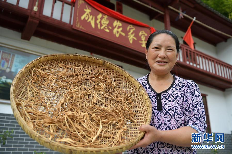 (新華全媒頭條·走向我們的小康生活·圖文互動(dòng))(4)神山村“神奇”何在?——井岡山深處覓答案