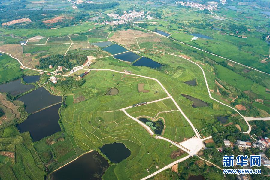 （新華全媒頭條&middot;走向我們的小康生活&middot;圖文互動）（1）特殊之年，荊楚大地書寫不平凡的答卷