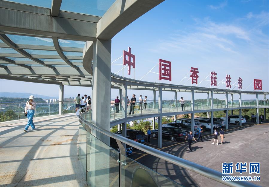 （新華全媒頭條&middot;走向我們的小康生活&middot;圖文互動）（2）特殊之年，荊楚大地書寫不平凡的答卷