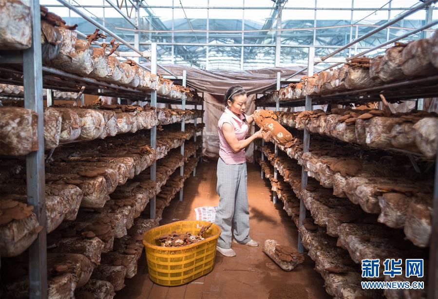 （新華全媒頭條&middot;走向我們的小康生活&middot;圖文互動）（3）特殊之年，荊楚大地書寫不平凡的答卷