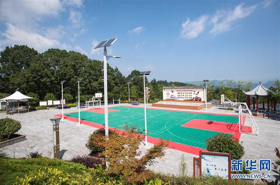 （新華全媒頭條&middot;走向我們的小康生活&middot;圖文互動）（6）特殊之年，荊楚大地書寫不平凡的答卷